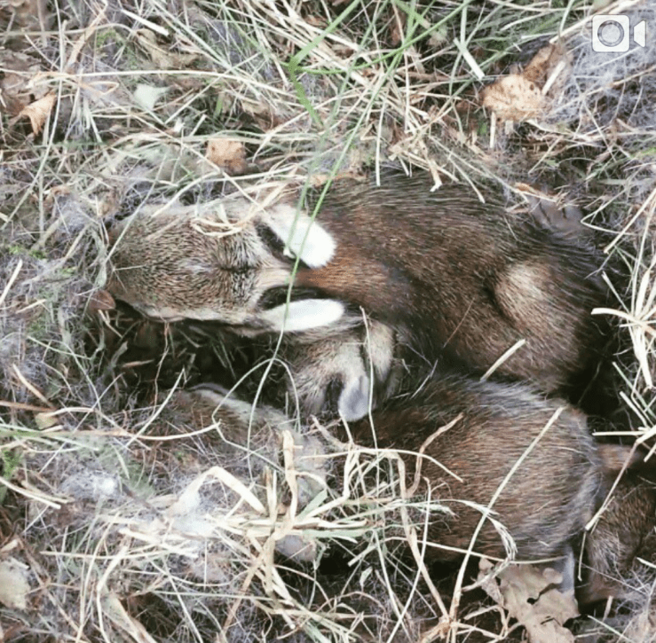 2016-01-05 23.39.31.png