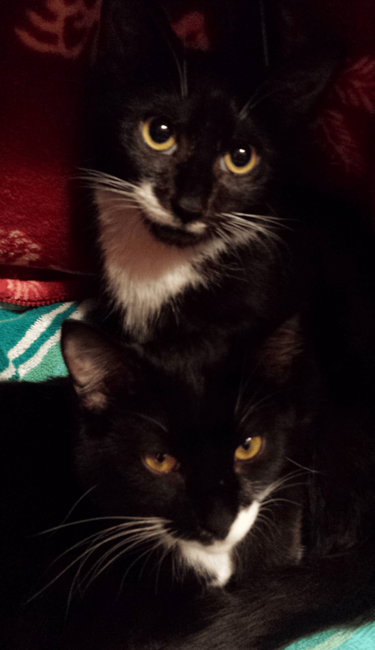 2016-02-27 19.24.06 blog e.png