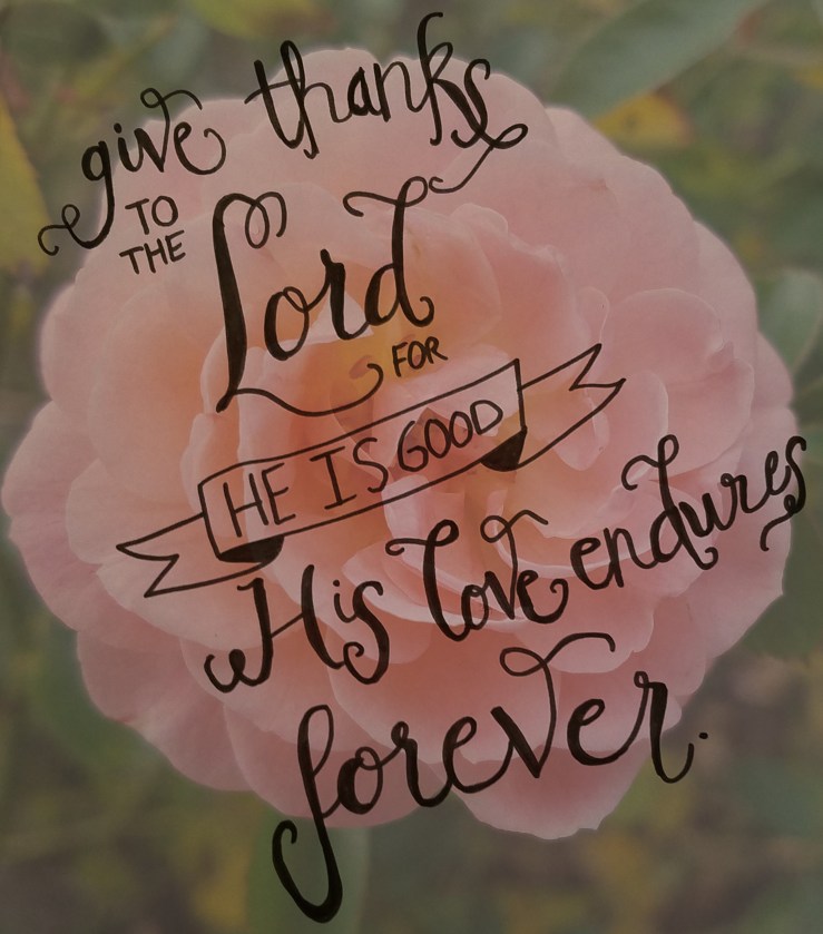 20171113_161828 edit 2