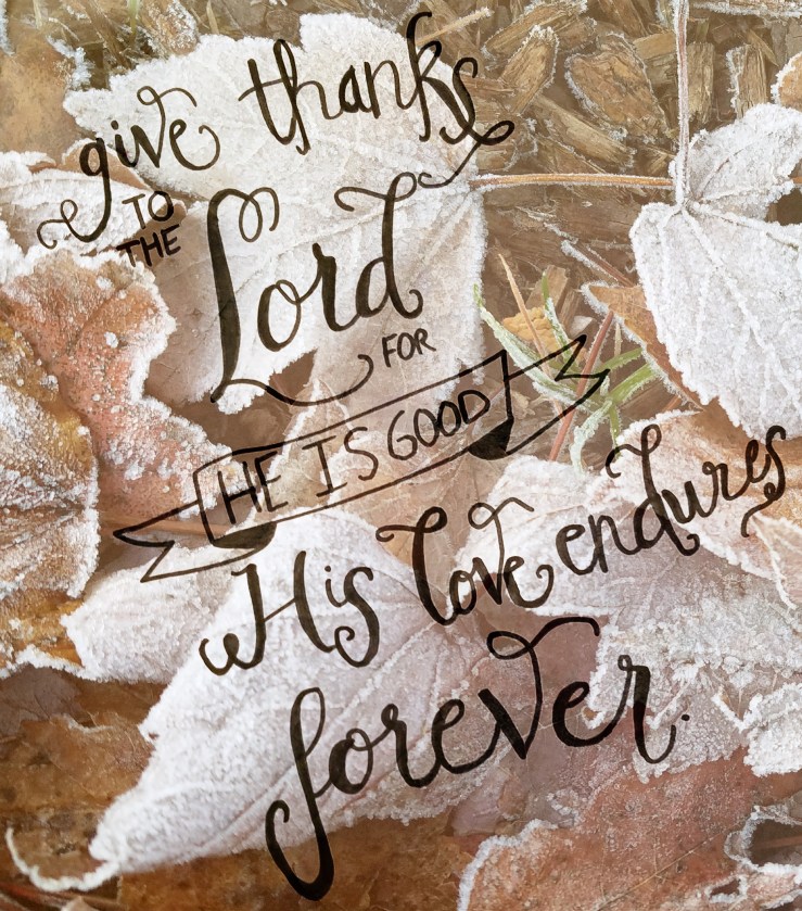 20171113_161828 edit 3